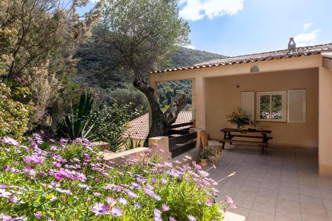 Residence Helios Cargèse Εξωτερικό φωτογραφία