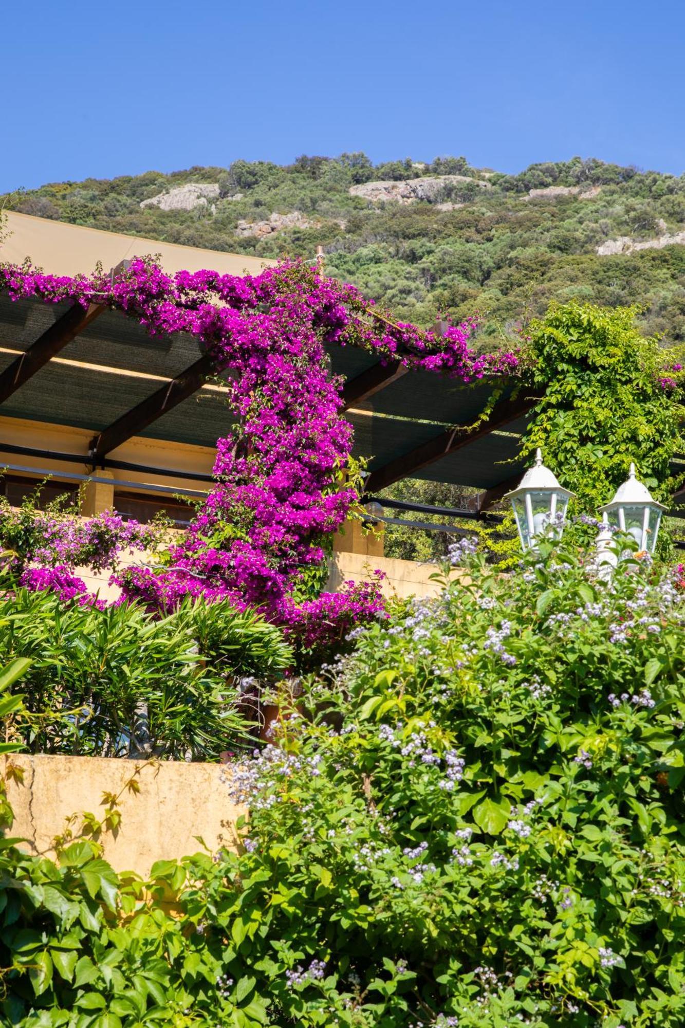 Residence Helios Cargèse Εξωτερικό φωτογραφία