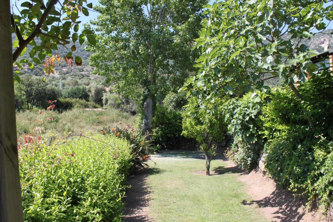 Residence Helios Cargèse Εξωτερικό φωτογραφία
